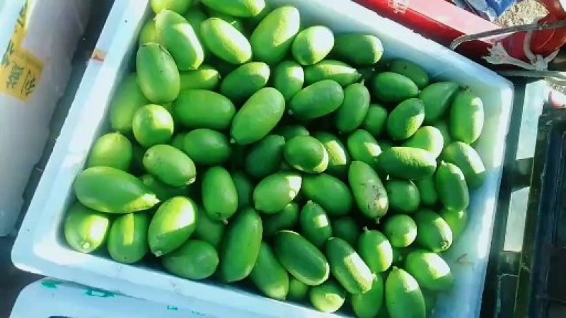 子弹头头香水柠檬青果一级果1.5块，二级1块