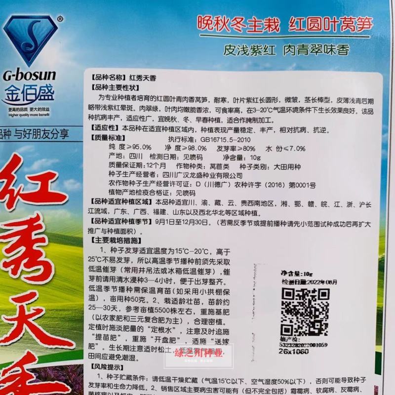 红秀天香晚秋冬主栽红圆叶莴笋种子绿肉香莴笋莴苣种子耐寒