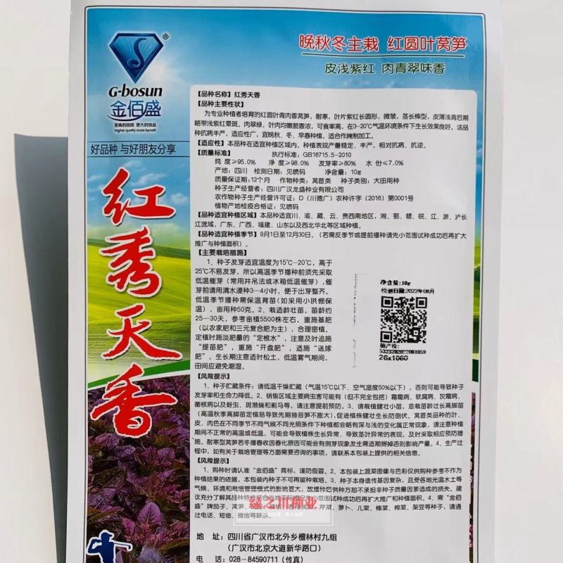 红秀天香晚秋冬主栽红圆叶莴笋种子绿肉香莴笋莴苣种子耐寒
