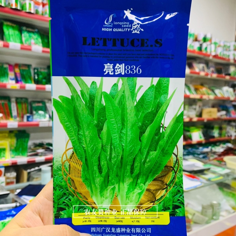 龙盛亮剑836油麦菜种子柳叶形油麦菜，食叶为主速生叶菜
