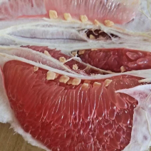 大埔蜜柚