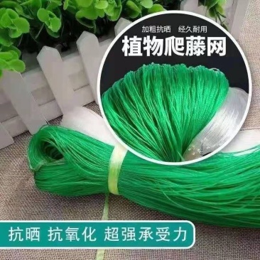 粗九股爬藤网百香果吊瓜小西瓜小南瓜网6米宽100米长