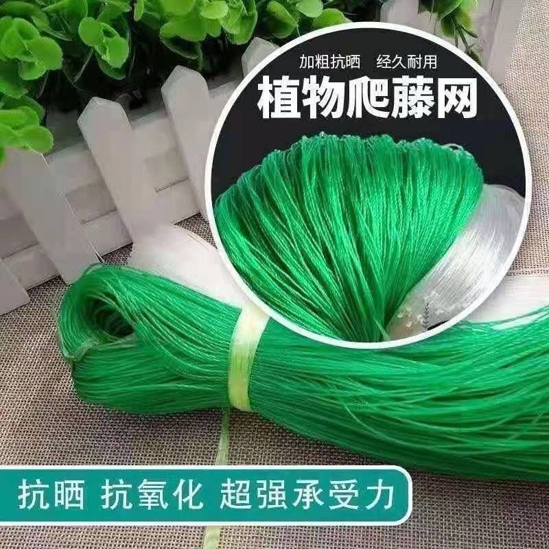 粗九股爬藤网百香果吊瓜小西瓜小南瓜网6米宽100米长