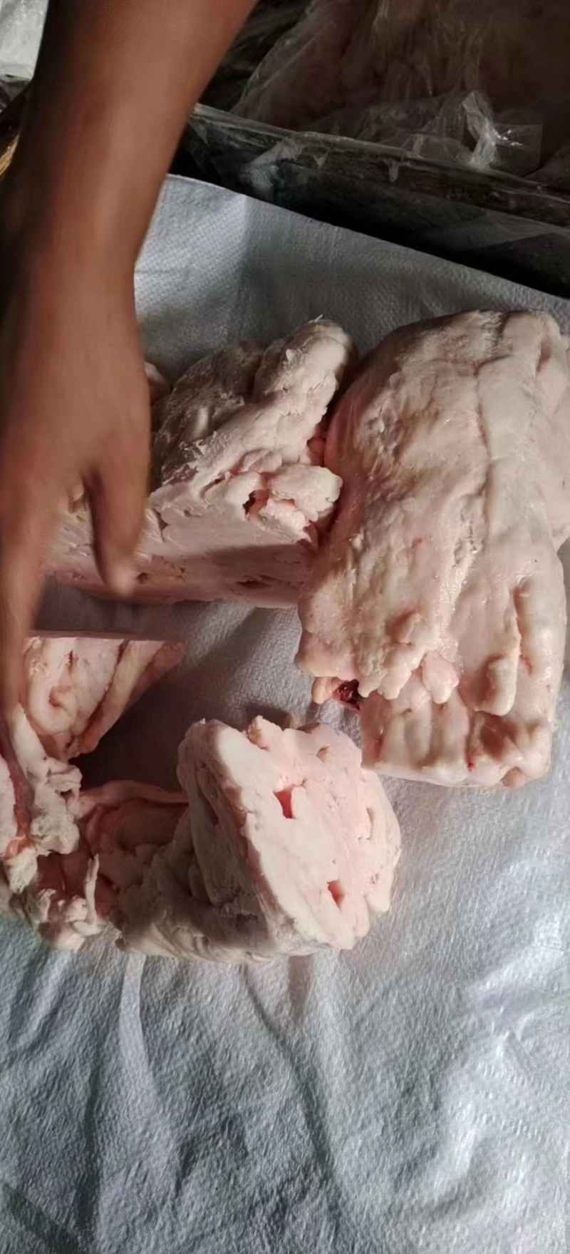 肥猪标猪吊挂板油