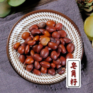 大皂角子,黑皂角子,一手货源,道地药材,药典标准,国药监