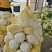 精品黄心大白菜，矮颗黄心白菜，市场货、工厂货、养殖货