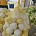 精品黄心大白菜，矮颗黄心白菜，市场货、工厂货、养殖货