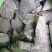 高温干馏果木炭