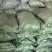 高温干馏果木炭