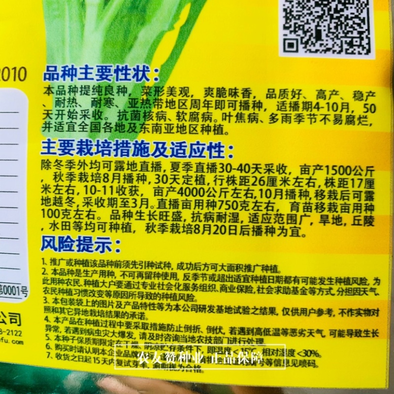 晓富中叶茼蒿种子耐热耐寒南方四季蔬菜种子皇帝菜蓬蒿菜种子