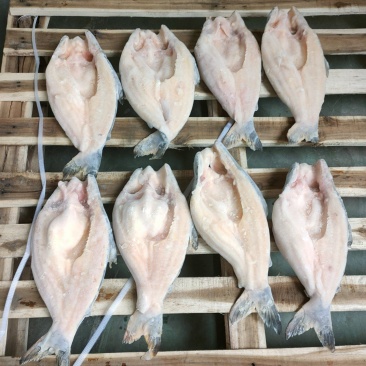 开背巴沙鱼，工厂直批，6条至15条全规格，14斤/件