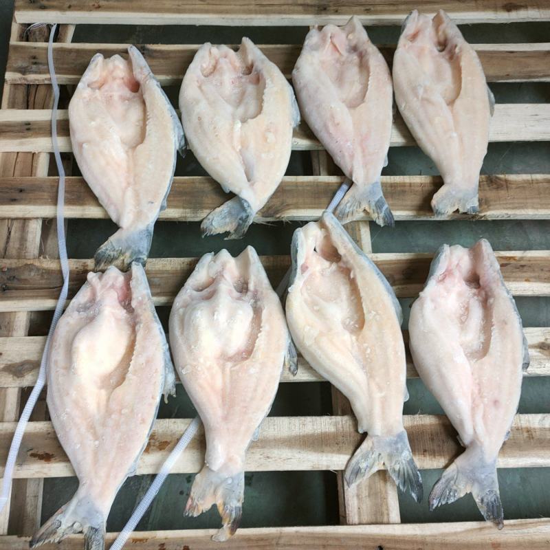 开背巴沙鱼，工厂直批，6条至15条全规格，14斤/件