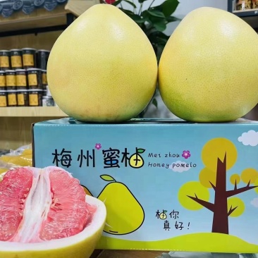 广东梅州红肉蜜柚