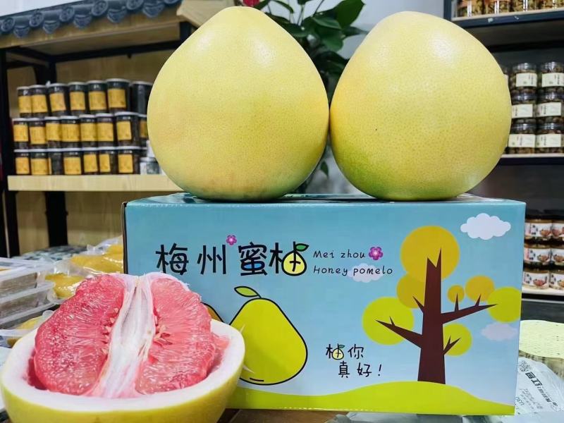 广东梅州红肉蜜柚