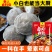 川天娃卤肉调料包卤料包卤肉包炖肉炖鸡香料包卤牛肉五香卤菜