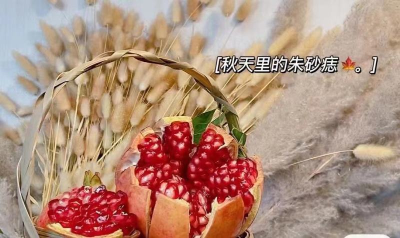 会理软籽石榴