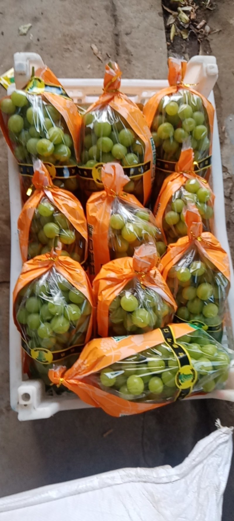 万亩葡萄基地，优质巨峰，阳光玫瑰，质优价廉。货源充足，