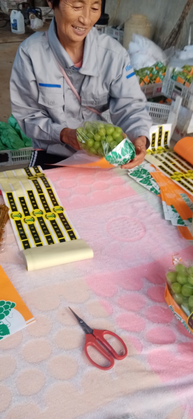 万亩葡萄基地，优质巨峰，阳光玫瑰，质优价廉。货源充足，