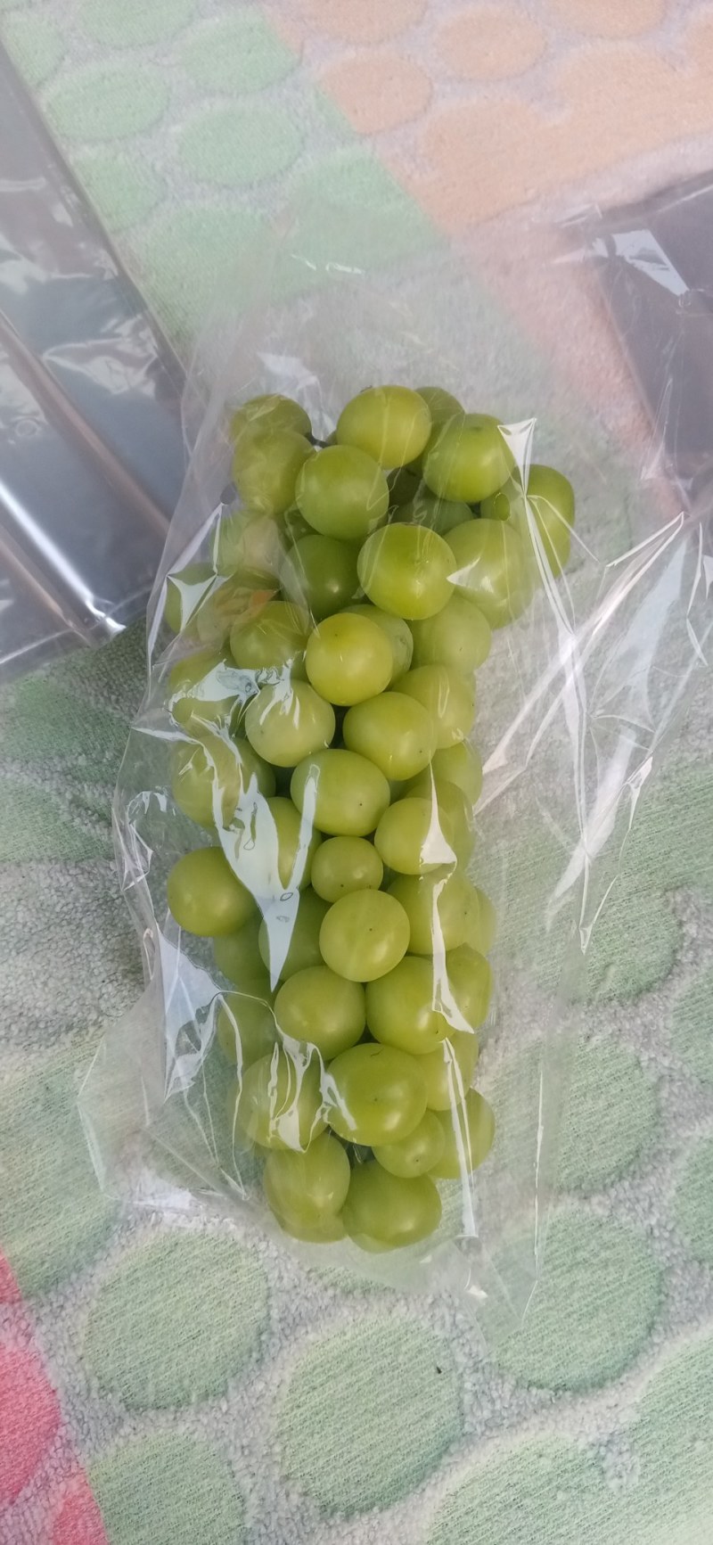 万亩葡萄基地，优质巨峰，阳光玫瑰，质优价廉。货源充足，