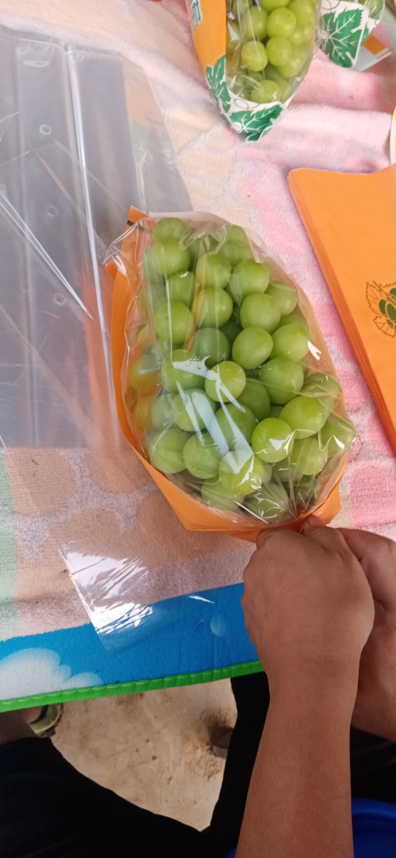 万亩葡萄基地，优质巨峰，阳光玫瑰，质优价廉。货源充足，