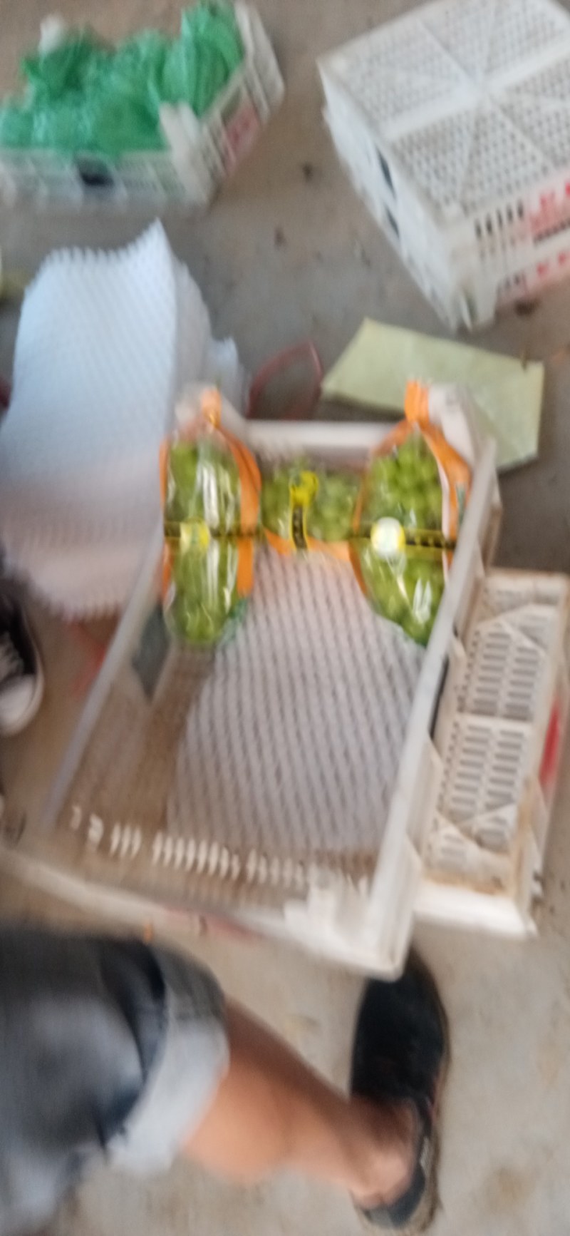 万亩葡萄基地，优质巨峰，阳光玫瑰，质优价廉。货源充足，