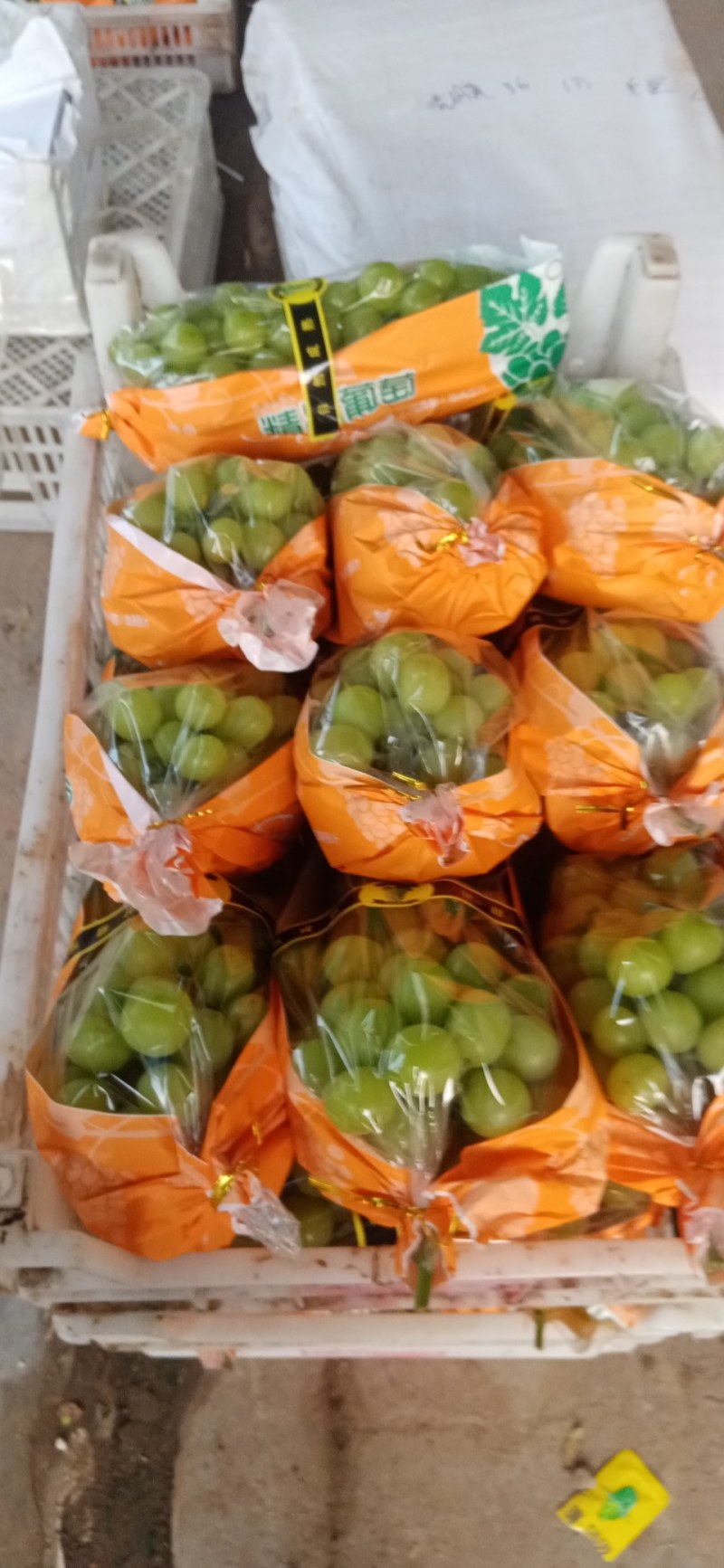 万亩葡萄基地，优质巨峰，阳光玫瑰，质优价廉。货源充足，
