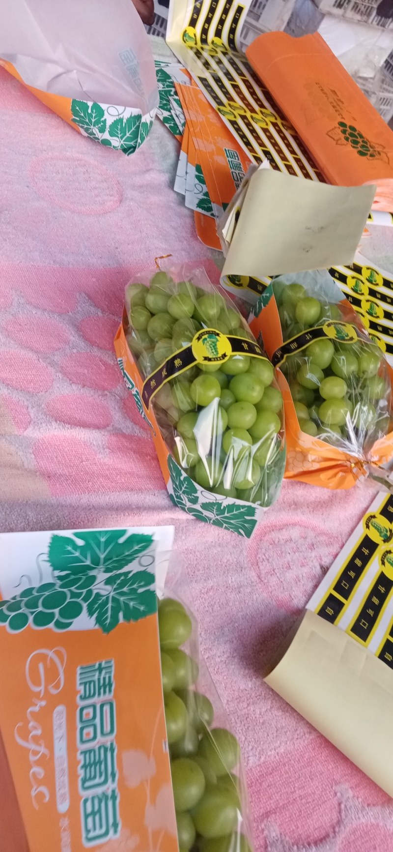 万亩葡萄基地，优质巨峰，阳光玫瑰，质优价廉。货源充足，
