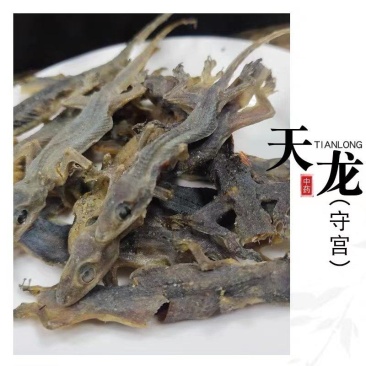大量上等天龙干（壁虎干货，价格实惠！高品质！诚信经营！