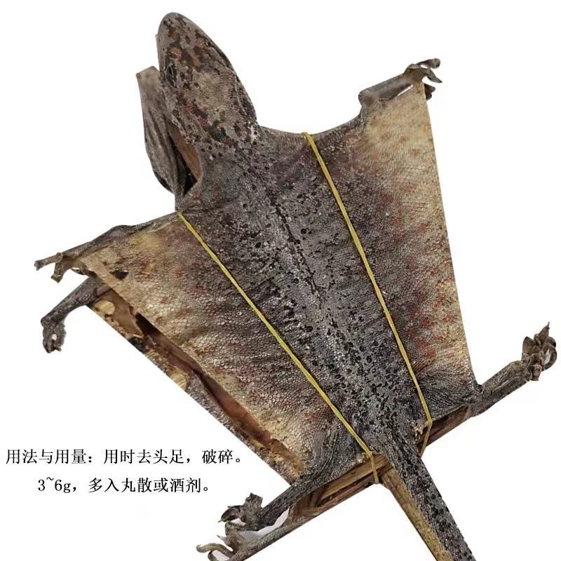 大量上等天龙干（壁虎干货，价格实惠！高品质！诚信经营！
