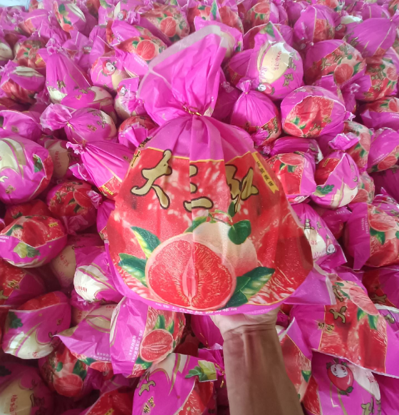 广东梅州红心蜜柚