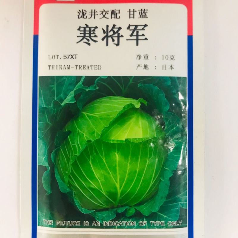 寒将军甘蓝种子，10克