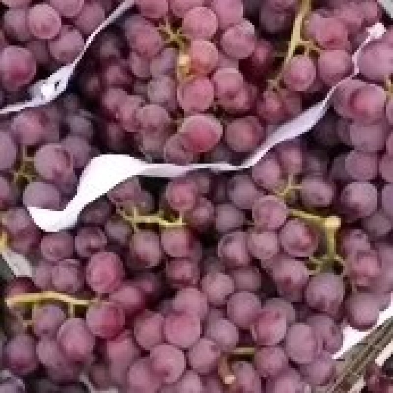 巨峰葡萄大量上市，质量好价格低，欢迎收购