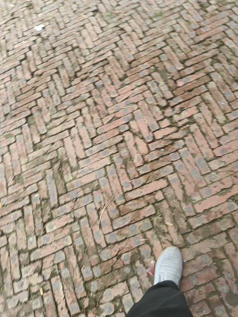 滨州二红洋葱，内蒙红美大量有货，价格随行欢迎老板选购。。
