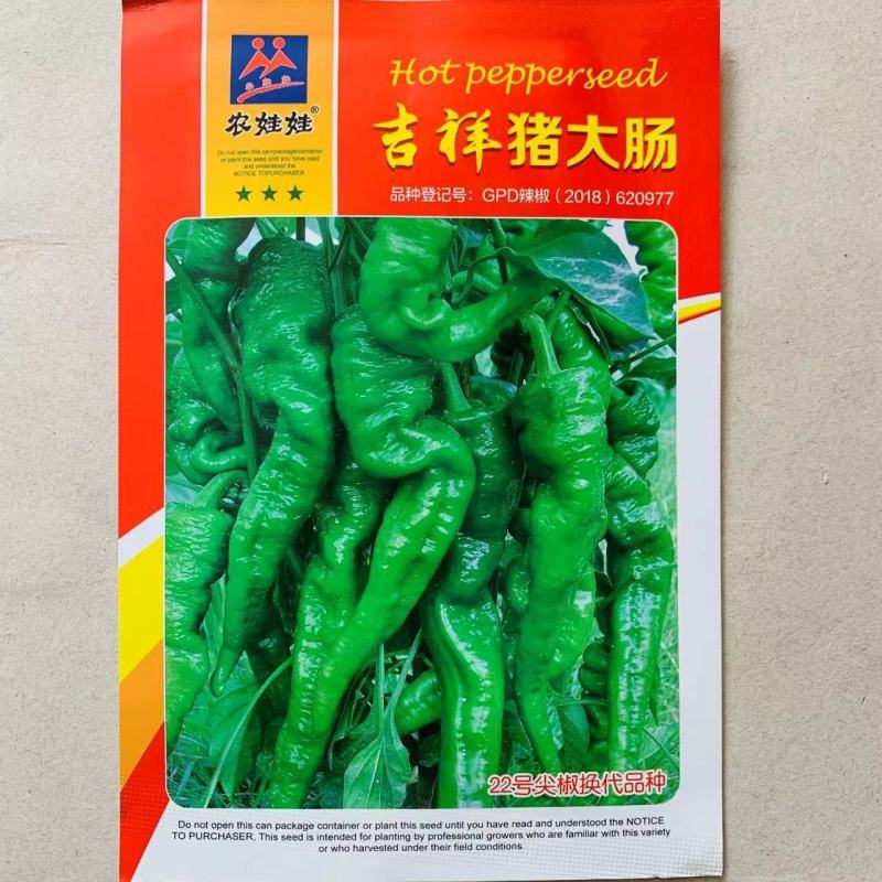 原装农娃娃猪大肠辣椒种子高产抗病早熟绿果辣味辣椒种子