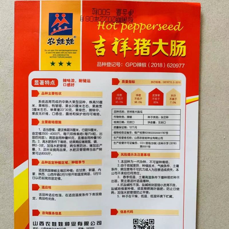 原装农娃娃猪大肠辣椒种子高产抗病早熟绿果辣味辣椒种子