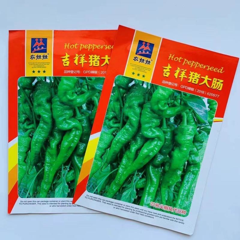 原装农娃娃猪大肠辣椒种子高产抗病早熟绿果辣味辣椒种子