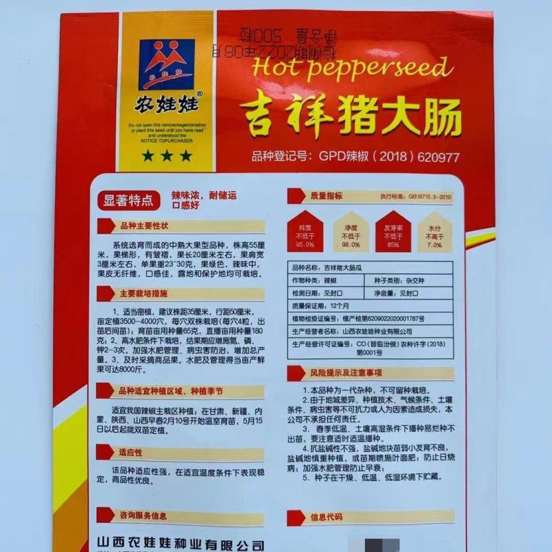 原装农娃娃猪大肠辣椒种子高产抗病早熟绿果辣味辣椒种子