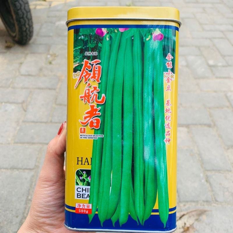 优选全能小金豆种子抗寒耐热芸豆四季豆种子春秋菜豆种子