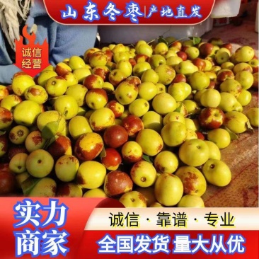 山东冬枣大量上市口感甜脆市场自由大场地收货日走货量十万斤