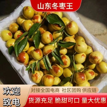 山东冬枣上市了网红爆品电商一件代各大社区团购挣钱利器