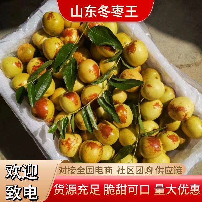 山东冬枣上市了网红爆品电商一件代各大社区团购挣钱利器