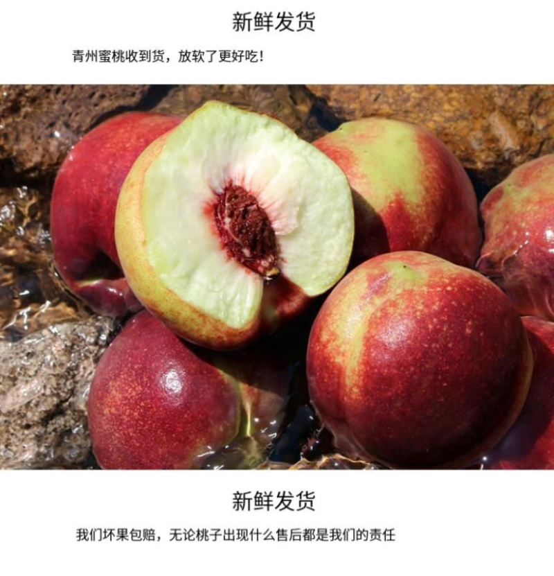高山离核脆甜的青州蜜桃嵩山蜜桃高山种植