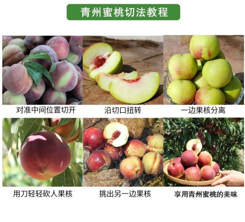 高山离核脆甜的青州蜜桃嵩山蜜桃高山种植