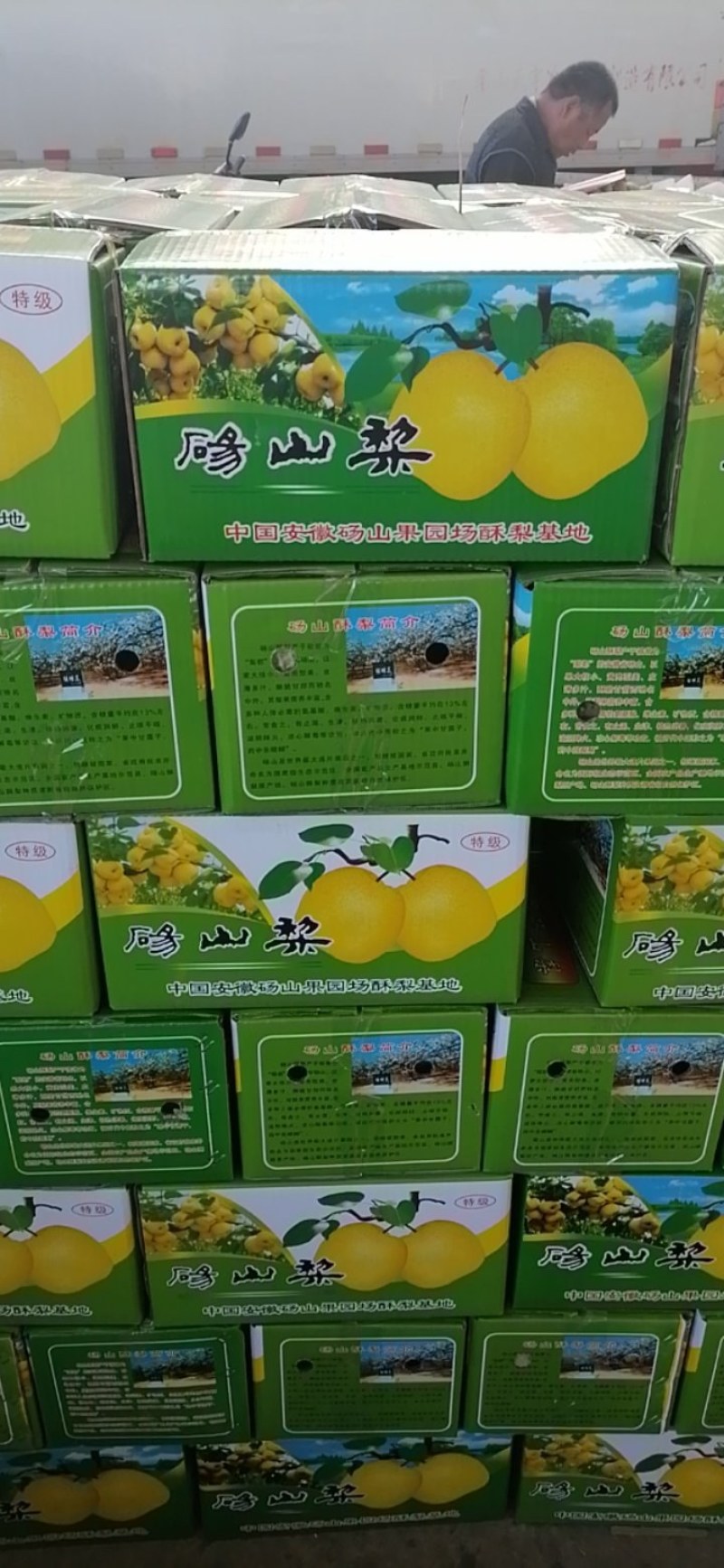 砀山梨，口感好，甜度高，
