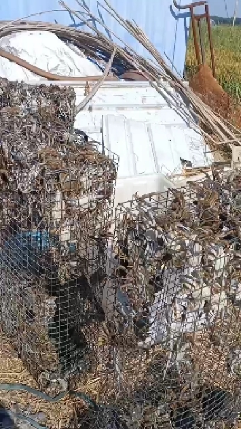 这里是河北唐山丰南区想合作的朋友请打平台的电话