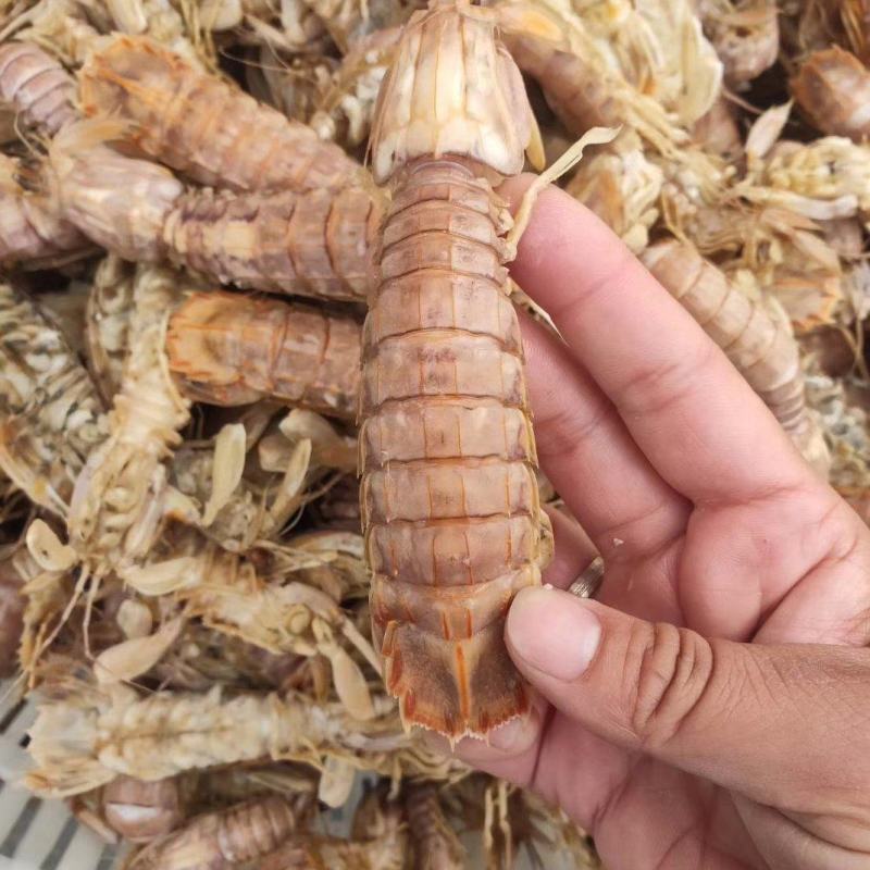 【牛商商家】山东皮皮虾肉质鲜美量大从优欢迎客商来选购