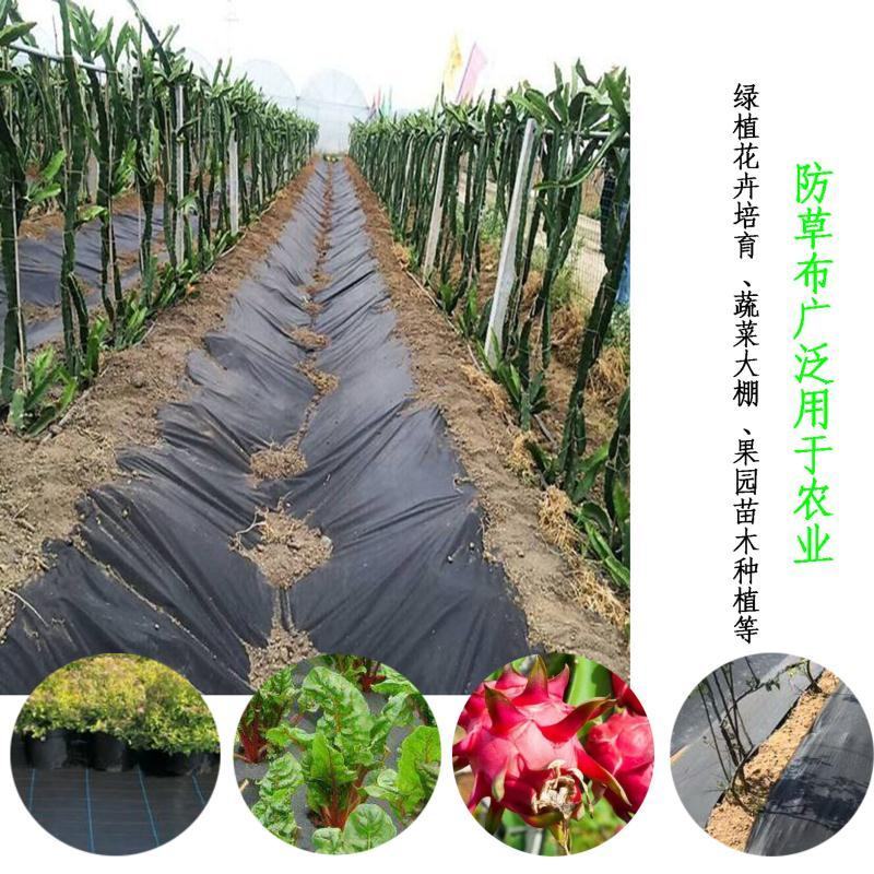 防草布PET全新材质果园除草地布超长寿命可定制