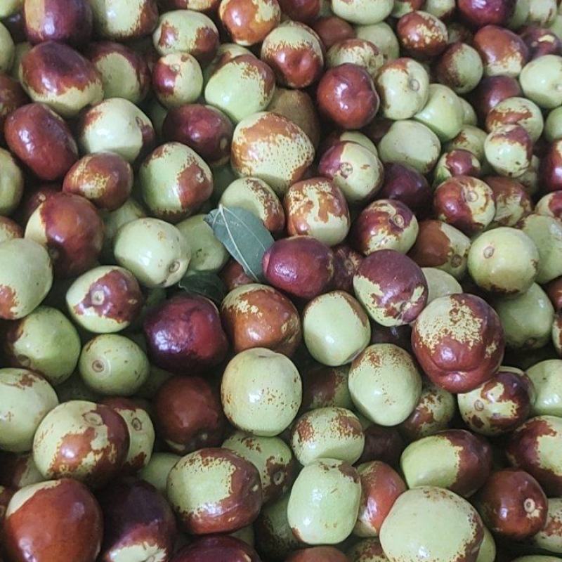 鲜枣，花麻枣