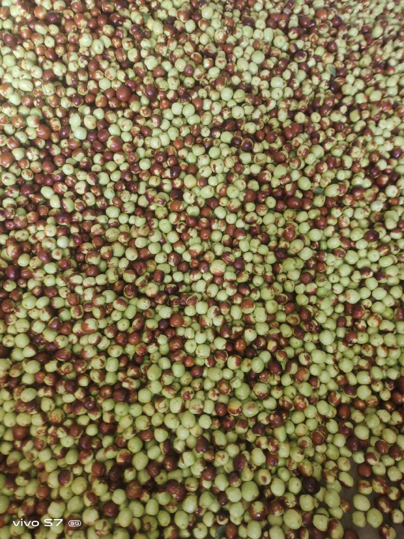 鲜枣，花麻枣