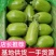 湖北随州优质绿茄精品绿茄基地供货欢迎电话联系